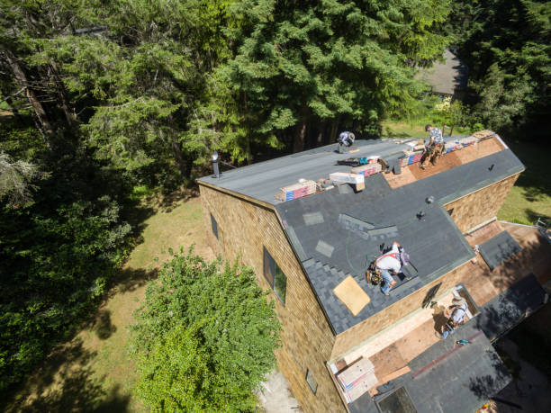 Enhancing Curb Appeal: Roof Replacement Essentials