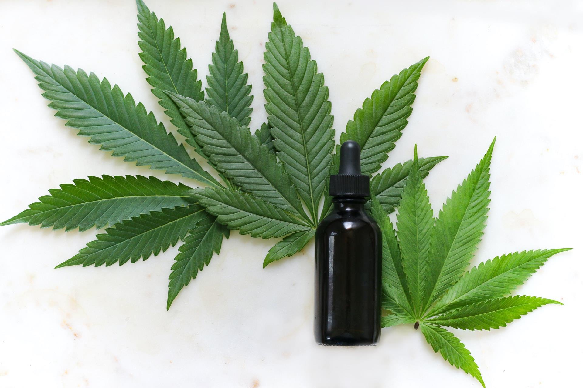 The Science of CBD Oil How It Works and What It Means for You