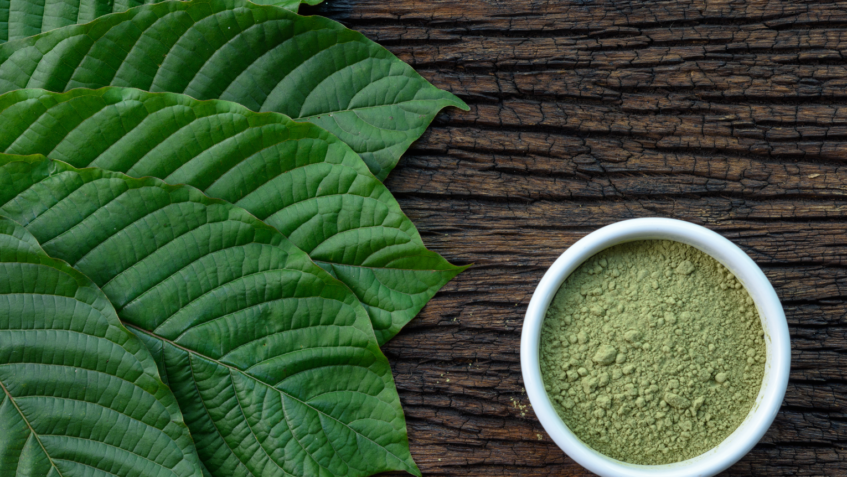 The Power of Kratom Understanding the Different Strains and Their Uses